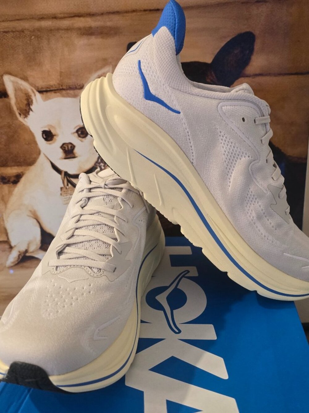 Hoka One One Clifton 10 1162030-SCCV Stucco / Virtual Blue Shoe Men's Sz 13 NEW